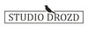 Студия Drozd